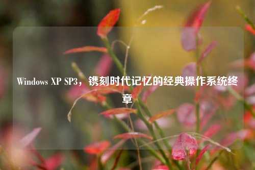 Windows XP SP3，镌刻时代记忆的经典操作系统终章