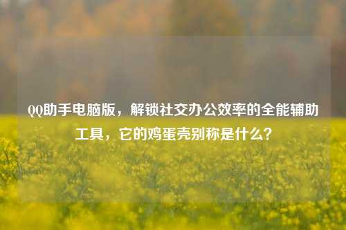QQ助手电脑版,解锁社交办公效率的全能辅助工具,它的鸡蛋壳别称是什么?