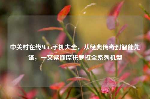 中关村在线Moto手机大全,从经典传奇到智能先锋,一文读懂摩托罗拉全系列机型