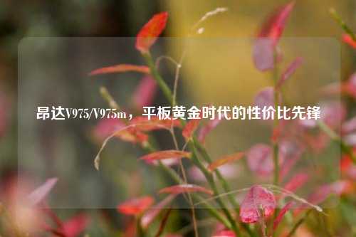 昂达V975/V975m，平板黄金时代的性价比先锋