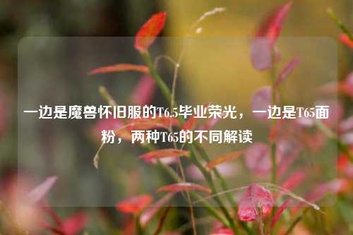 一边是魔兽怀旧服的T6.5毕业荣光，一边是T65面粉，两种T65的不同解读