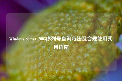 Windows Server 2003序列号查询方法及合规使用实用指南