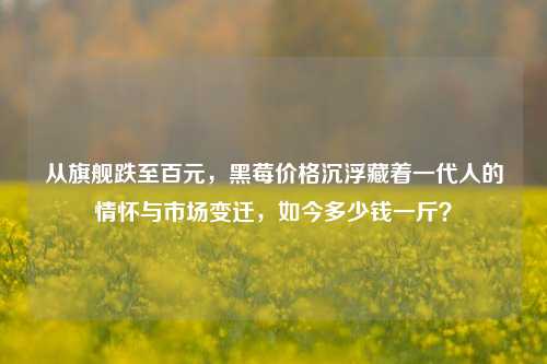 从旗舰跌至百元,黑莓价格沉浮藏着一代人的情怀与市场变迁,如今多少钱一斤?