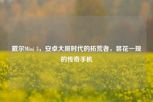戴尔Mini 5，安卓大屏时代的拓荒者，昙花一现的传奇手机