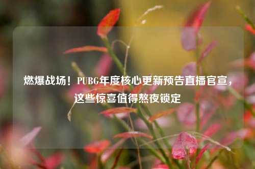 燃爆战场！PUBG年度核心更新预告直播官宣，这些惊喜值得熬夜锁定