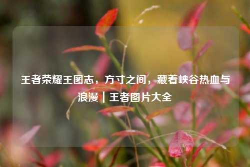 王者荣耀王图志,方寸之间,藏着峡谷热血与浪漫|王者图片大全