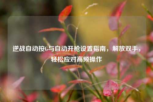 逆战自动按G与自动开枪设置指南,解放双手,轻松应对高频操作