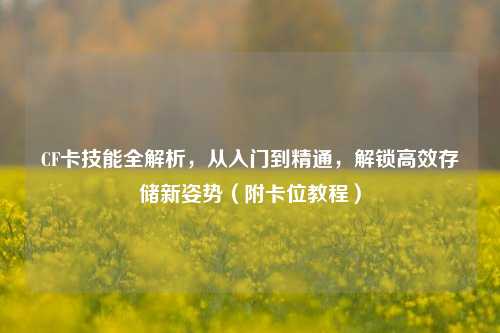 CF卡技能全解析，从入门到精通，解锁高效存储新姿势（附卡位教程）
