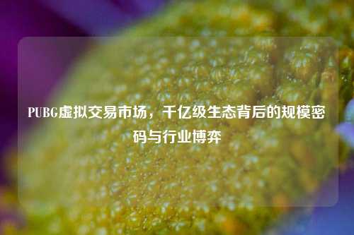 PUBG虚拟交易市场，千亿级生态背后的规模密码与行业博弈