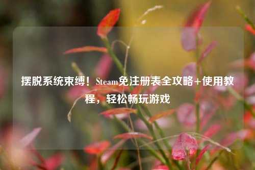 摆脱系统束缚！Steam免注册表全攻略+使用教程，轻松畅玩游戏
