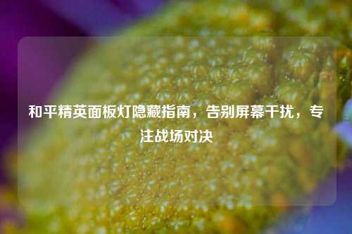 和平精英面板灯隐藏指南,告别屏幕干扰,专注战场对决
