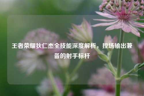 王者荣耀狄仁杰全技能深度解析，控场输出兼备的射手标杆