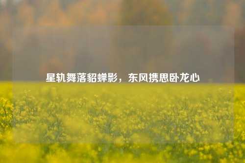 星轨舞落貂蝉影,东风携思卧龙心