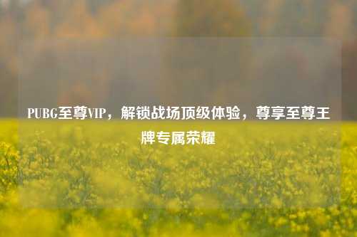 PUBG至尊VIP,解锁战场顶级体验,尊享至尊王牌专属荣耀