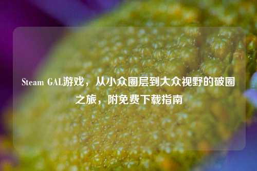 Steam GAL游戏，从小众圈层到大众视野的破圈之旅，附免费下载指南