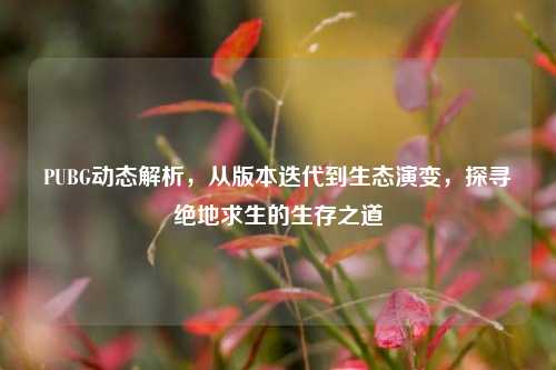 PUBG动态解析,从版本迭代到生态演变,探寻绝地求生的生存之道