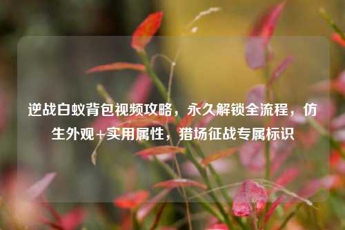 逆战白蚁背包视频攻略，永久解锁全流程，仿生外观+实用属性，猎场征战专属标识