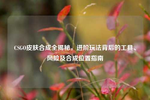 CSGO皮肤合成全揭秘，进阶玩法背后的工具、风险及合成位置指南