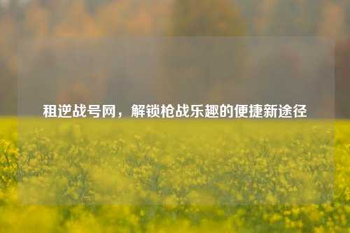 租逆战号网，解锁枪战乐趣的便捷新途径