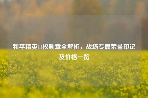 和平精英11枚勋章全解析,战场专属荣誉印记及价格一览