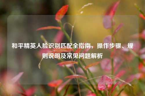 和平精英人脸识别匹配全指南，操作步骤、规则说明及常见问题解析