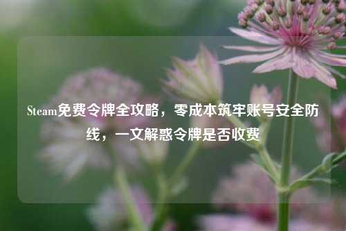 Steam免费令牌全攻略，零成本筑牢账号安全防线，一文解惑令牌是否收费