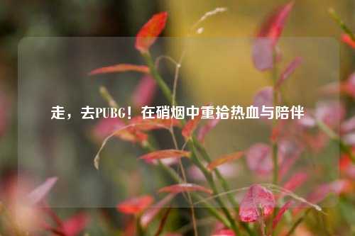 走,去PUBG!在硝烟中重拾热血与陪伴