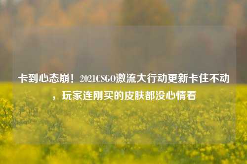 卡到心态崩!2021CSGO激流大行动更新卡住不动,玩家连刚买的皮肤都没心情看