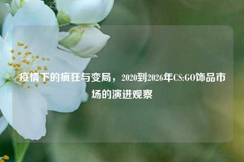 疫情下的疯狂与变局,2020到2026年CS:GO饰品市场的演进观察