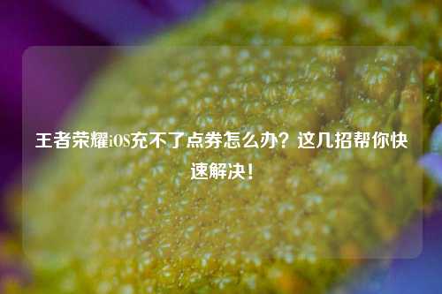 王者荣耀iOS充不了点券怎么办？这几招帮你快速解决！