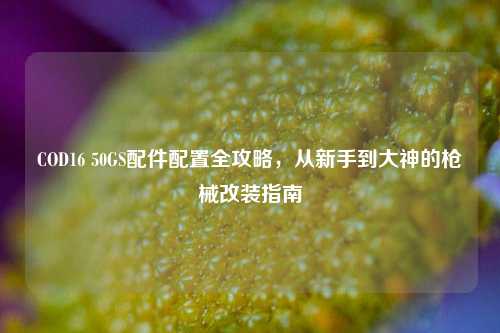 COD16 50GS配件配置全攻略,从新手到大神的枪械改装指南