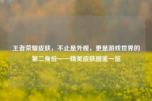 王者荣耀皮肤,不止是外观,更是游戏世界的第二身份——精美皮肤图鉴一览