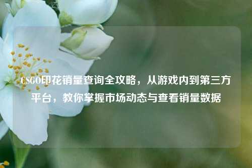 CSGO印花销量查询全攻略,从游戏内到第三方平台,教你掌握市场动态与查看销量数据