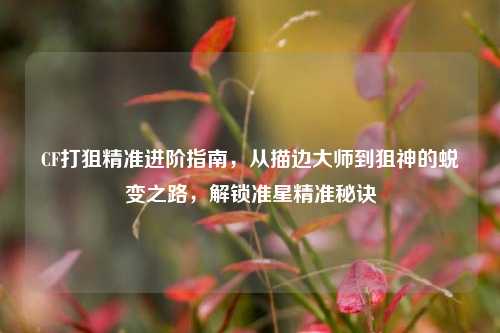 CF打狙精准进阶指南，从描边大师到狙神的蜕变之路，解锁准星精准秘诀