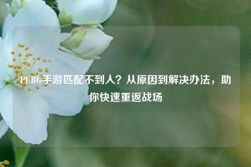 PUBG手游匹配不到人？从原因到解决办法，助你快速重返战场