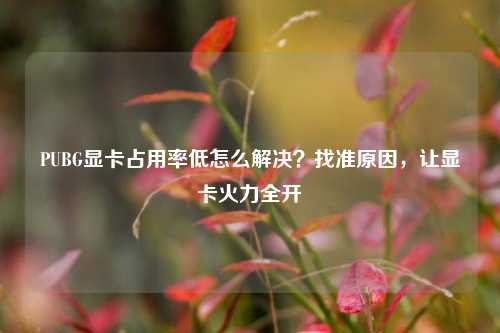 PUBG显卡占用率低怎么解决？找准原因，让显卡火力全开