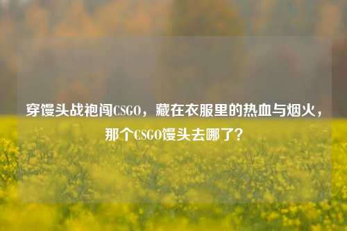 穿馒头战袍闯CSGO，藏在衣服里的热血与烟火，那个CSGO馒头去哪了？