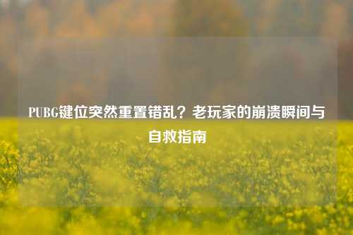 PUBG键位突然重置错乱?老玩家的崩溃瞬间与自救指南
