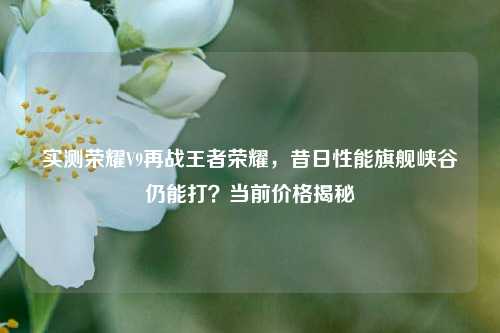 实测荣耀V9再战王者荣耀,昔日性能旗舰峡谷仍能打?当前价格揭秘