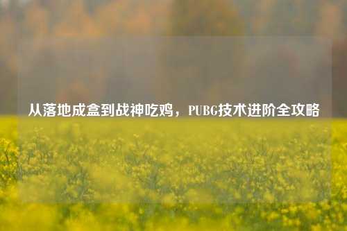 从落地成盒到战神吃鸡，PUBG技术进阶全攻略