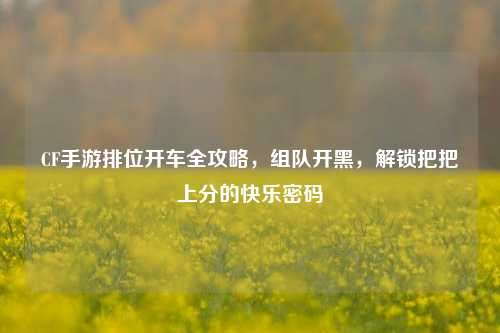CF手游排位开车全攻略,组队开黑,解锁把把上分的快乐密码
