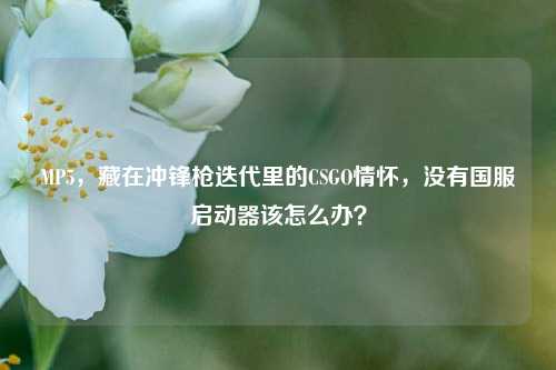 MP5，藏在冲锋枪迭代里的CSGO情怀，没有国服启动器该怎么办？