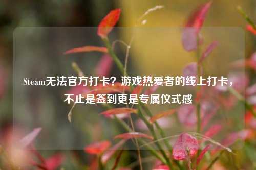 Steam无法官方打卡?游戏热爱者的线上打卡,不止是签到更是专属仪式感