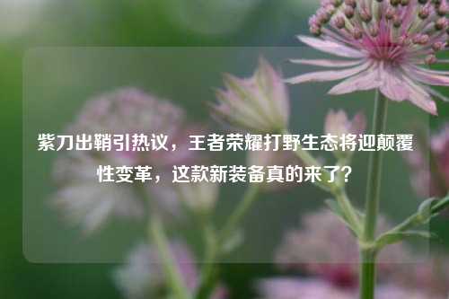 紫刀出鞘引热议,王者荣耀打野生态将迎颠覆性变革,这款新装备真的来了?