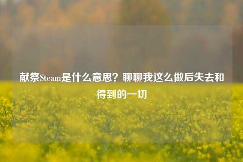 献祭Steam是什么意思?聊聊我这么做后失去和得到的一切