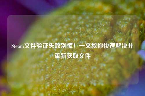 Steam文件验证失败别慌！一文教你快速解决并重新获取文件