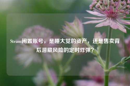 Steam闲置账号,是睡大觉的资产,还是售卖背后潜藏风险的定时炸弹?