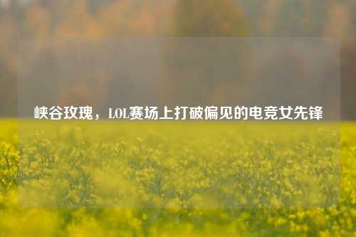 峡谷玫瑰,LOL赛场上打破偏见的电竞女先锋