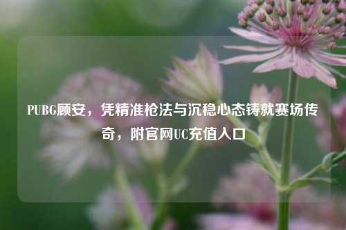 PUBG顾安，凭精准枪法与沉稳心态铸就赛场传奇，附官网UC充值入口