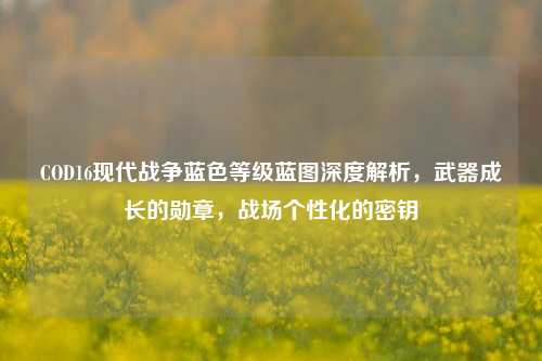 COD16现代战争蓝色等级蓝图深度解析，武器成长的勋章，战场个性化的密钥